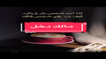 الرد على كلمة مالك دخل بطريقة ذكية ولبقة في مختلف المواقف