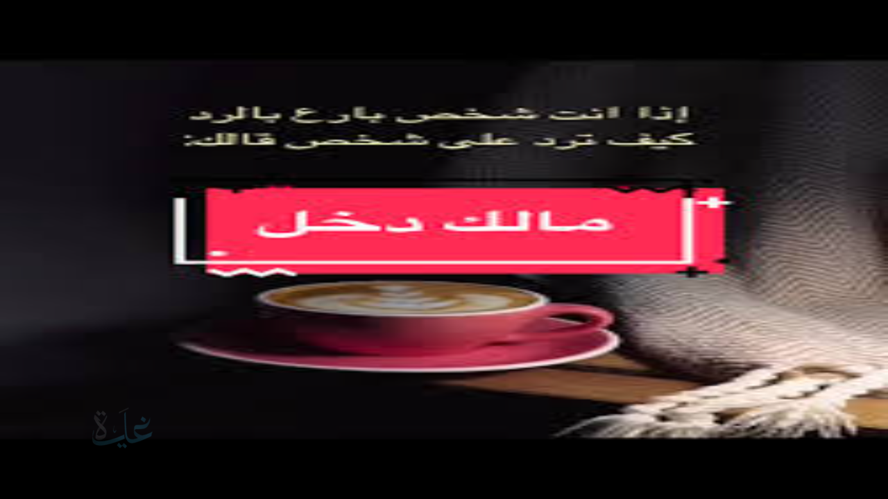 الرد على كلمة مالك دخل بطريقة ذكية ولبقة في مختلف المواقف