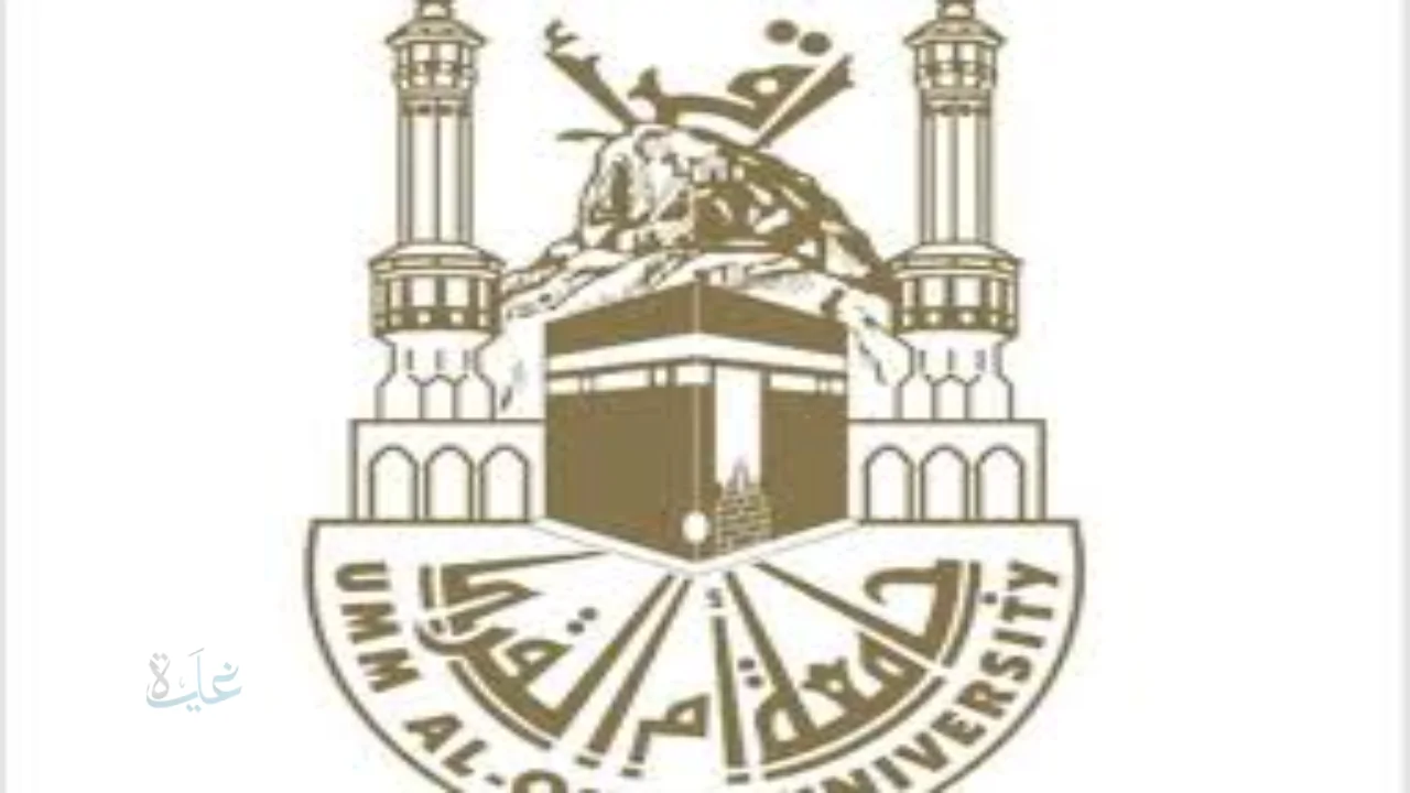 جامعة أم القرى تطلق ورشة رواد الأعمال بالذكاء الاصطناعي لتعزيز الابتكار ضمن أسبوع الابتكار السعودي 2026