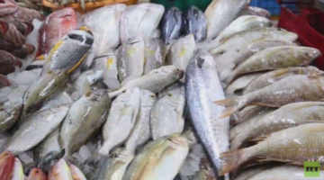 خطوة لدعم الأمن الغذائي .. وزارة البيئة تتسلم مركز الثروة السمكية بالخليج العربي