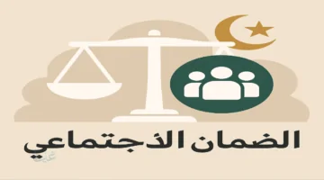 رقم الضمان الاجتماعي بالمدينة المنورة وطرق التواصل مع وزارة الموارد البشرية 1447