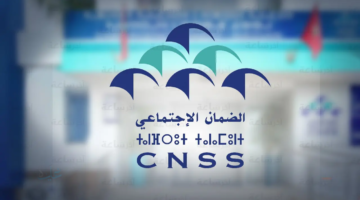 رابط سفير الضمان الاجتماعي 1447 تويتر وأهم الأخبار الجديدة