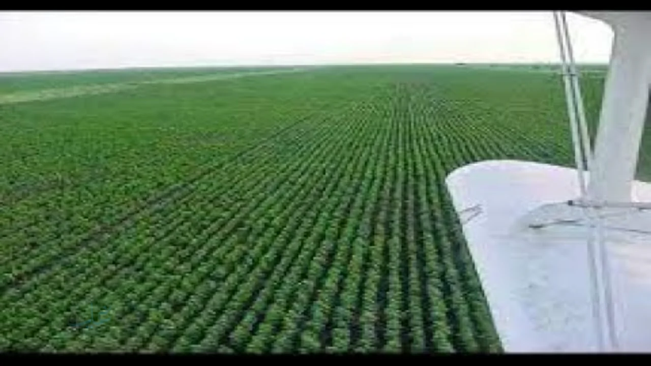 مشروع الجزيرة في السودان يتكبد خسائر هائلة وسط محاولات لإنقاذه وإعادة تشغيله