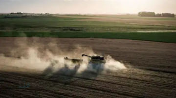 مصر تشتري 363 ألف طن قمح محلي وتستهدف خفض وارداتها 5% خلال 2026